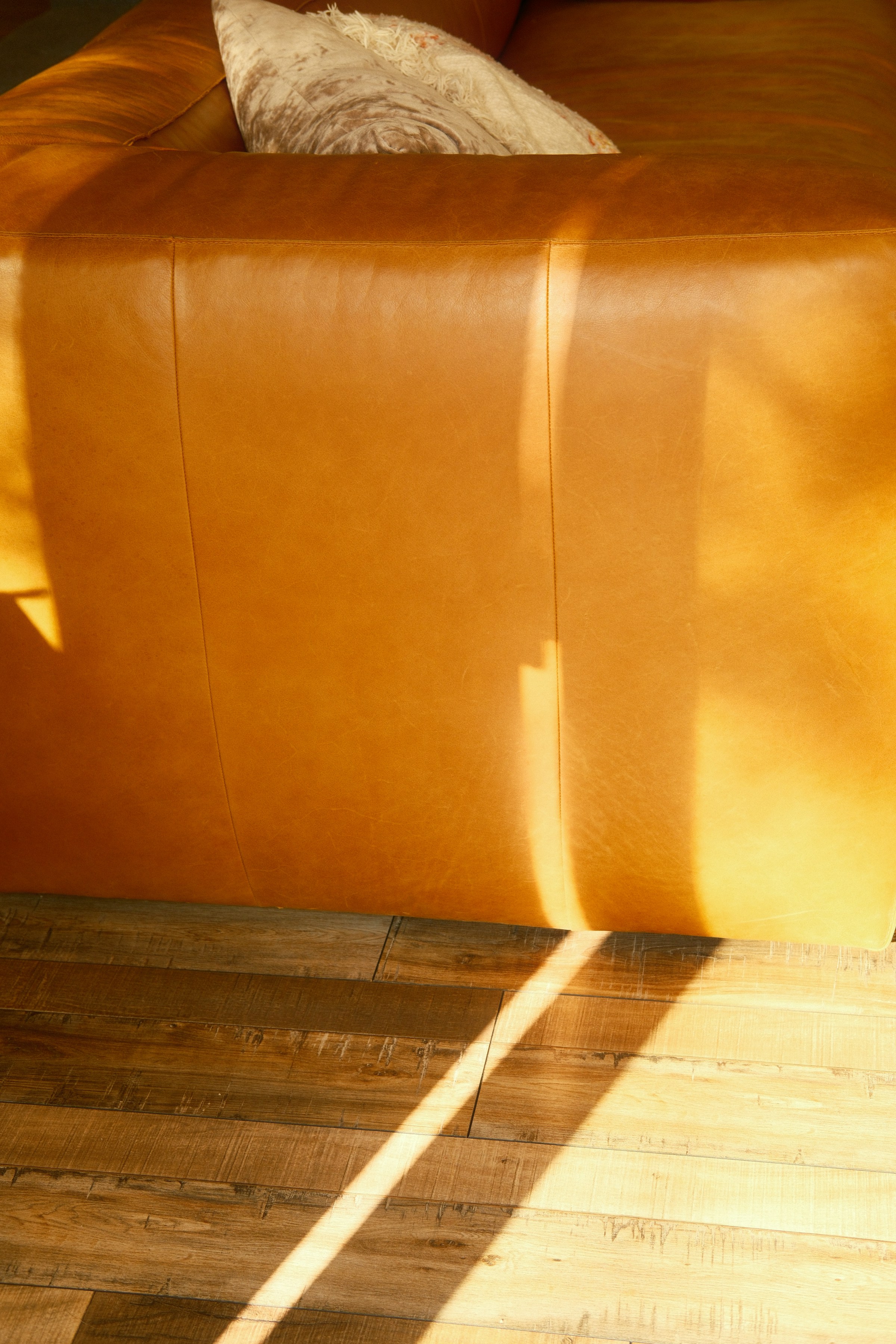 Warm sunlight falling across a leather sofa in a calm modern living room