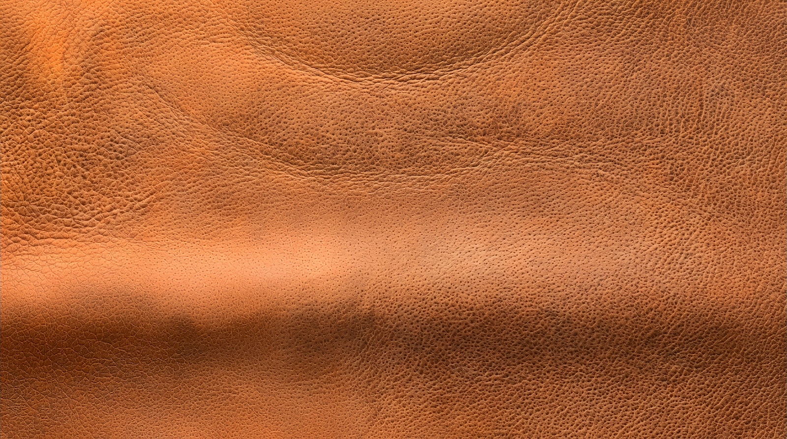 Leather material texture