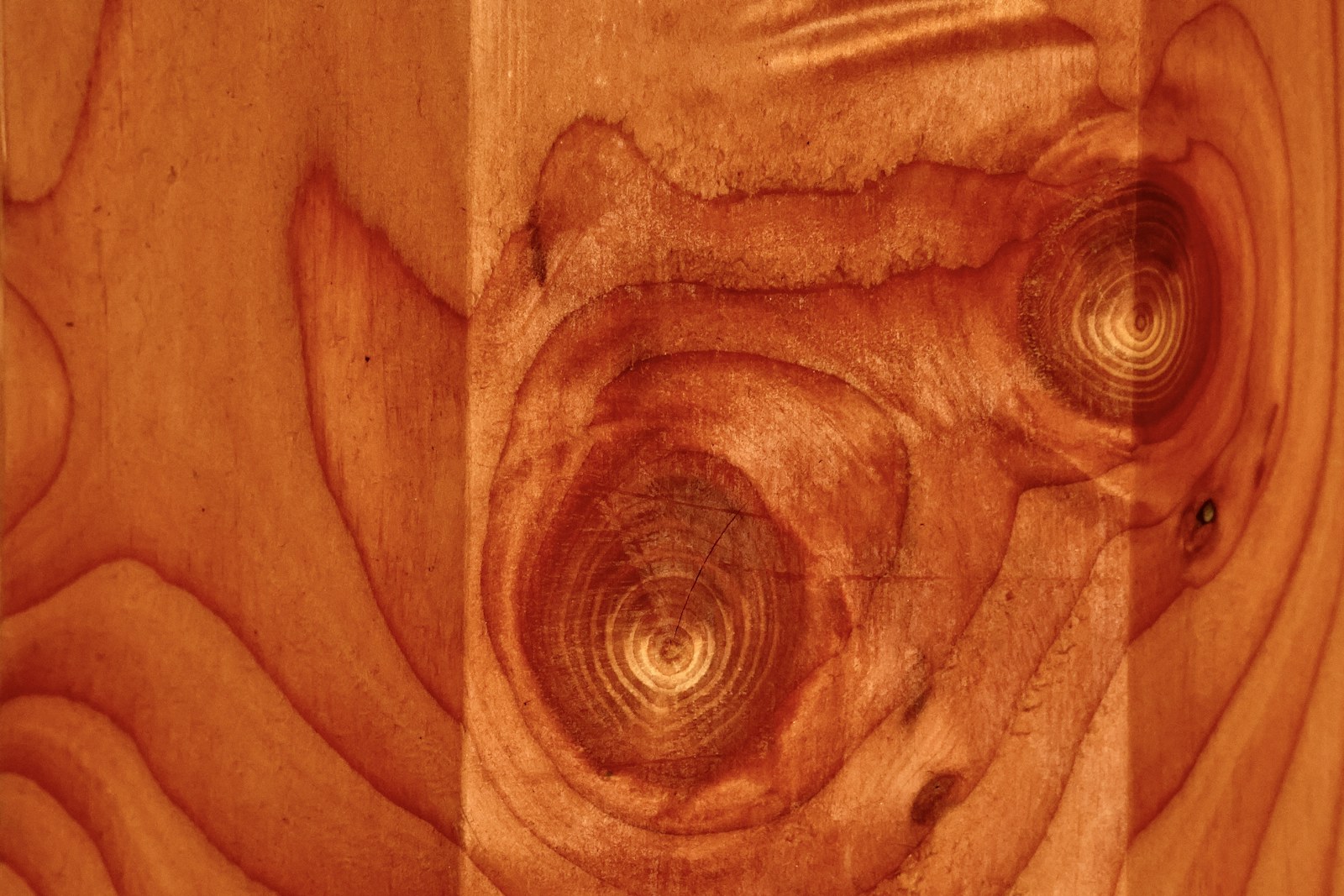 Oak material texture